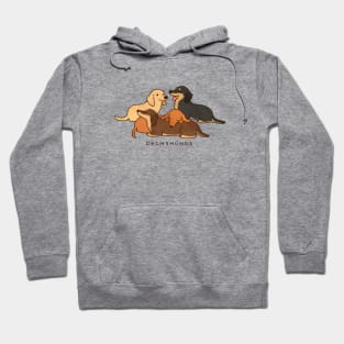 Dachshunds Hoodie